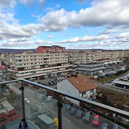 Park Lake Near Iulius Mall, Wi-Fi, Walk-In Showe Cluj-Napoca Eksteriør billede